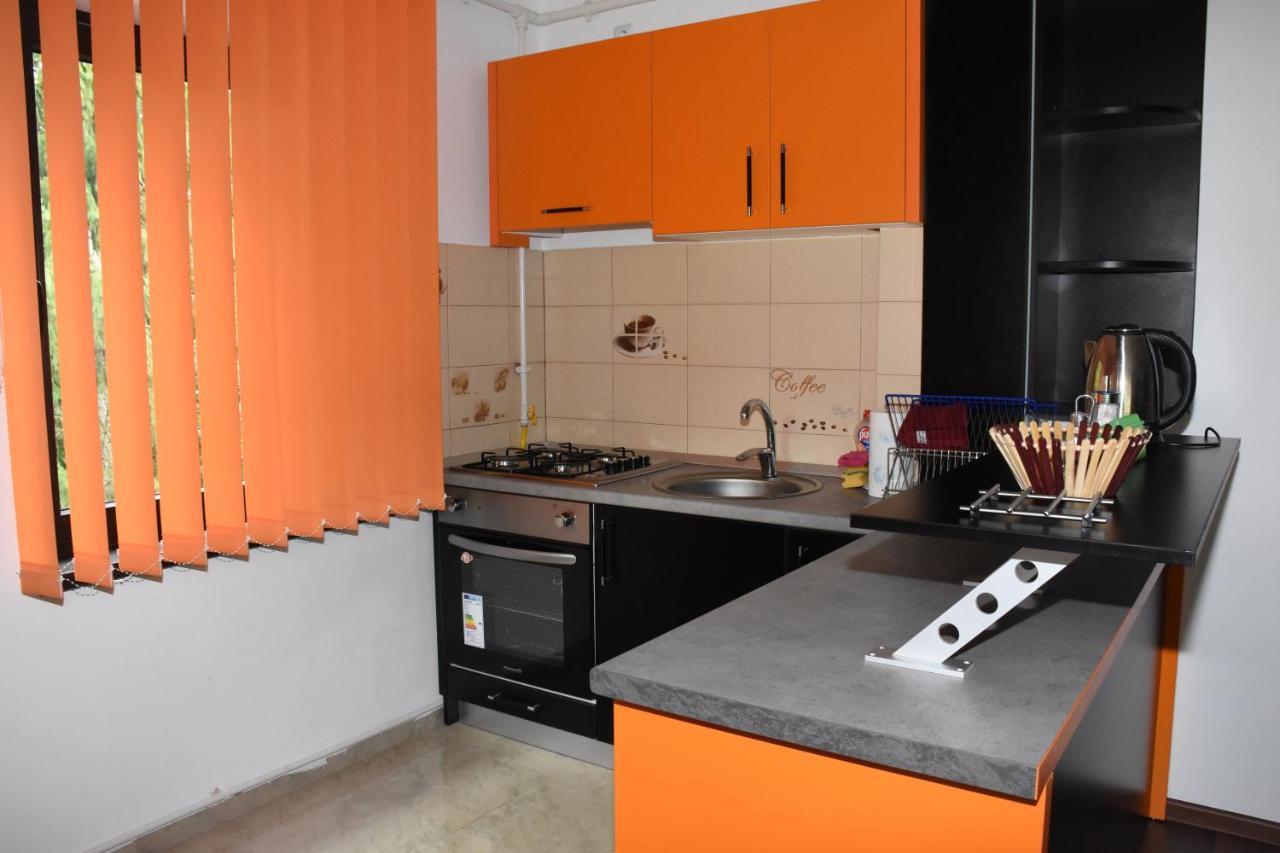 Hotel Apartament Eldya Comfort&Suites Predeal Buitenkant foto