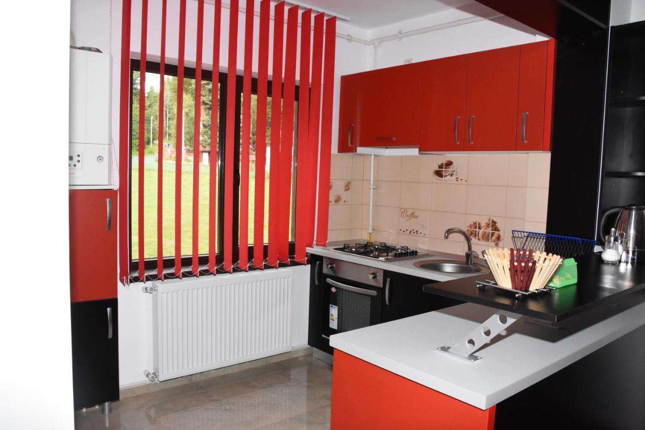 Hotel Apartament Eldya Comfort&Suites Predeal Buitenkant foto