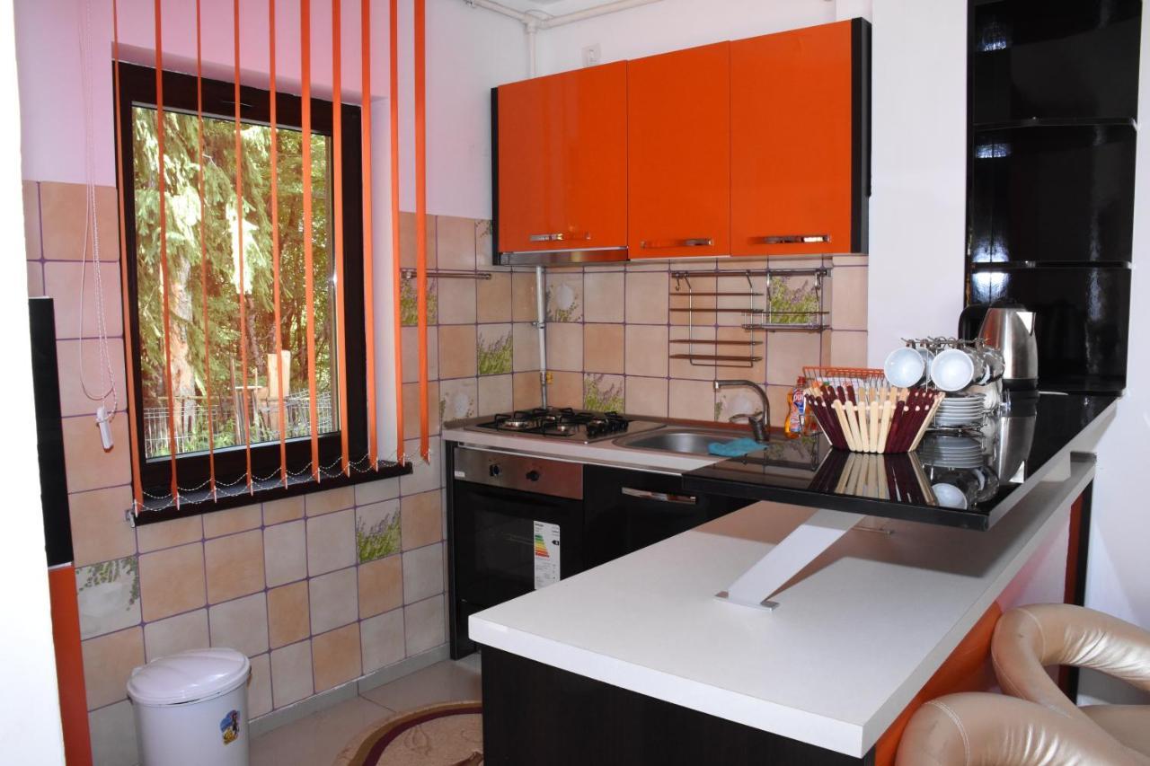 Hotel Apartament Eldya Comfort&Suites Predeal Buitenkant foto