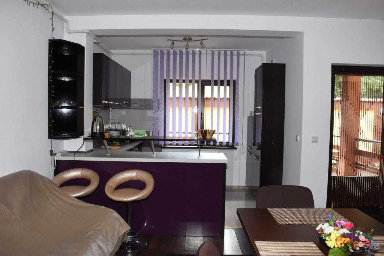 Hotel Apartament Eldya Comfort&Suites Predeal Buitenkant foto