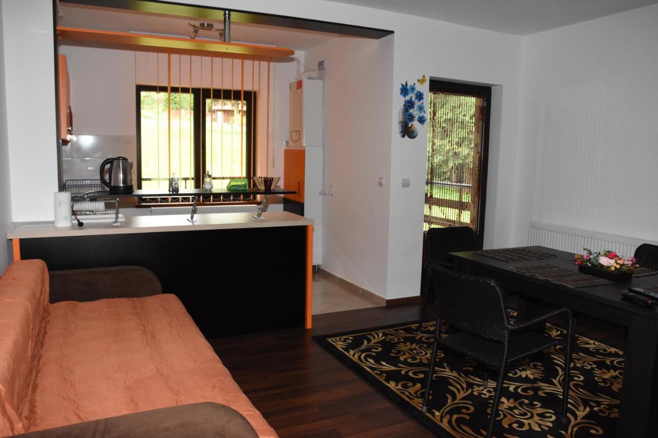 Hotel Apartament Eldya Comfort&Suites Predeal Buitenkant foto