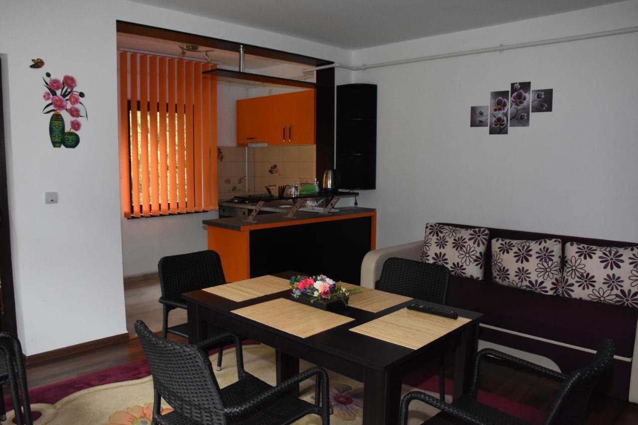 Hotel Apartament Eldya Comfort&Suites Predeal Buitenkant foto