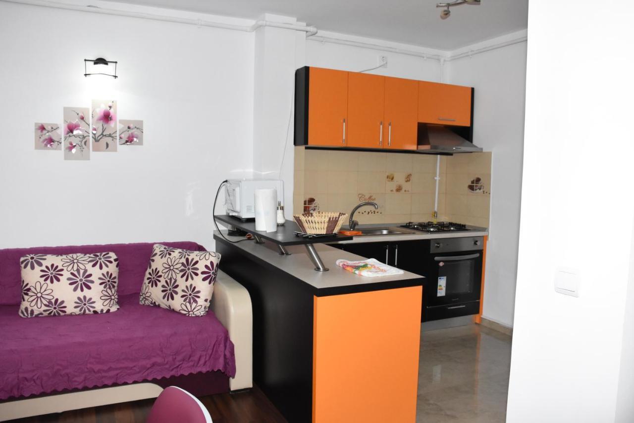 Hotel Apartament Eldya Comfort&Suites Predeal Buitenkant foto