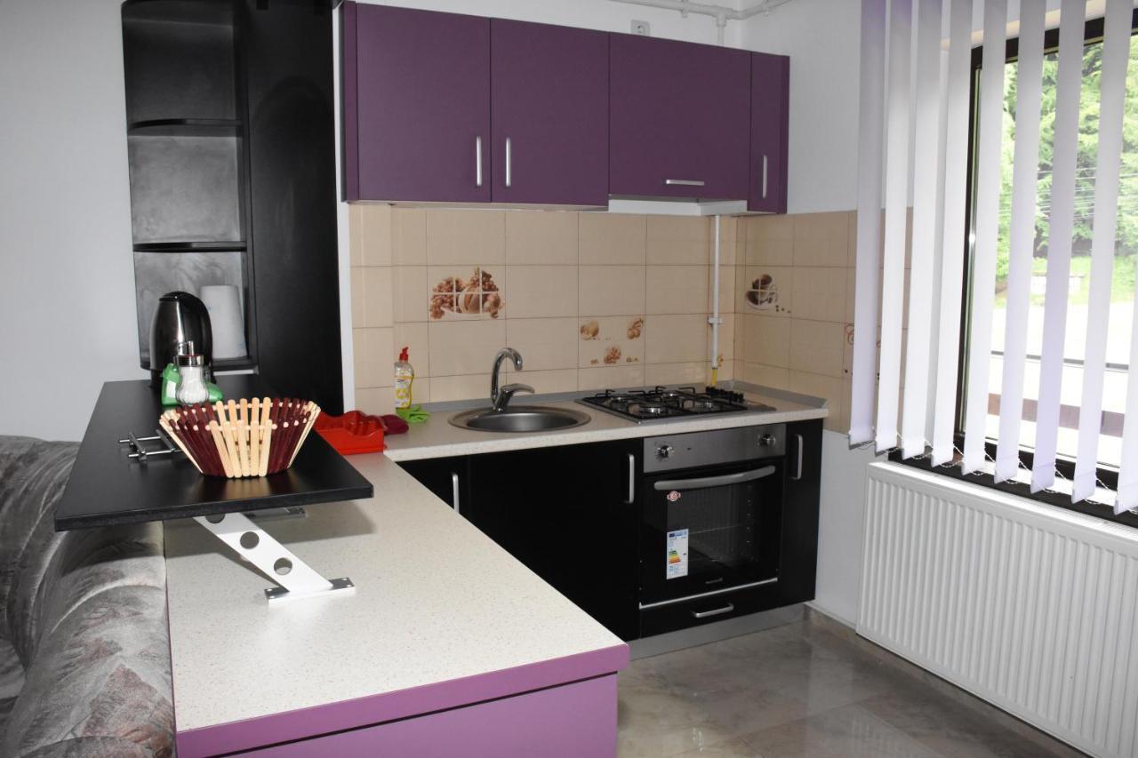 Hotel Apartament Eldya Comfort&Suites Predeal Buitenkant foto